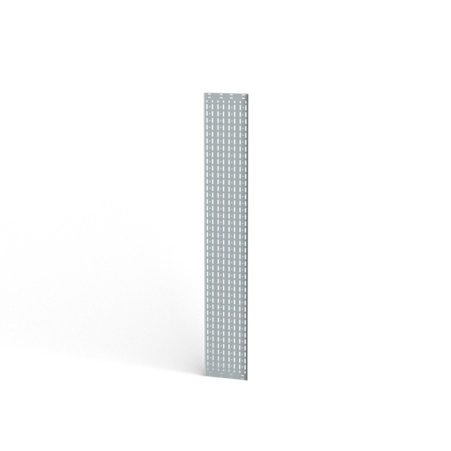 Vertical cable management panel, width 300mm, for rack Ri7, RSF, RF1, height 42U