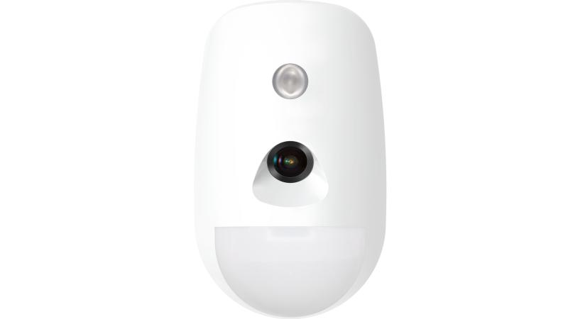 Wireless PIR-CAM Detector