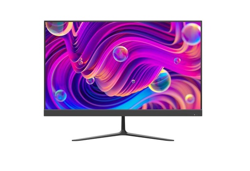 [DS-D5024F2-BV2S(O-STD)(UK)] 23.8 inch FHD 100Hz VA Monitor with speaker