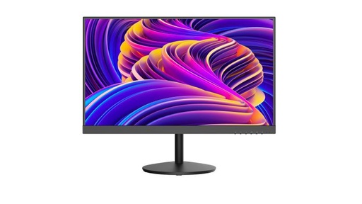 [DS-D5224F2-1V1S(O-STD)(UK)] 23.8 VA 75Hz Monitor