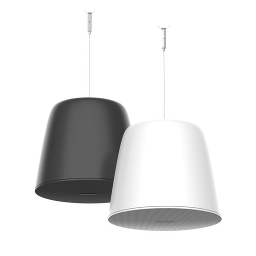 [DS-QAZ0530G1(O-STD)/BLACK] Analog Pendant Speaker