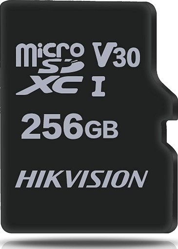 [HS-TFP1(STD)/256G] 256GB SD CARD 